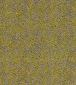 Beauvoir Fabric by Clarke & Clarke Citrus