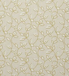 Chartwell Fabric by Clarke & Clarke Acacia
