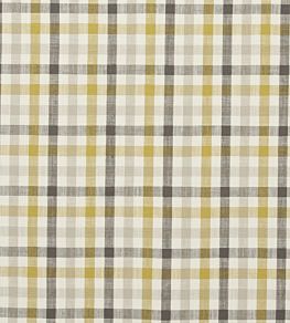 Hatfield Fabric by Clarke & Clarke Acacia