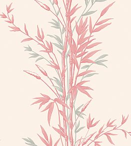 Bamboo Wallpaper by Cole & Son Pink
