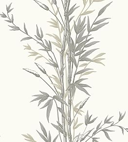 Bamboo Wallpaper by Cole & Son Charcoal