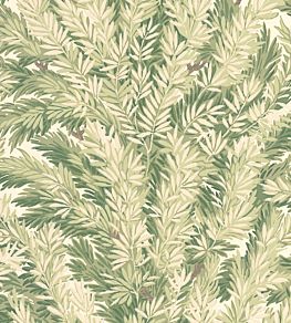 Florencecourt Wallpaper by Cole & Son Olive