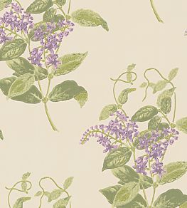 Madras Violet Wallpaper by Cole & Son Olive & Lavender