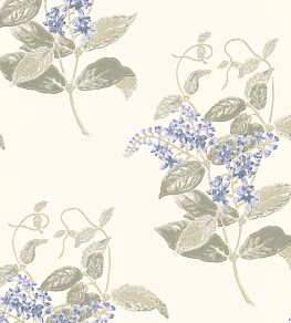 Madras Violet Wallpaper by Cole & Son Violet & Grey