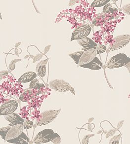 Madras Violet Wallpaper by Cole & Son Pink