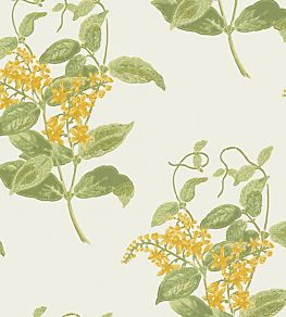 Madras Violet Wallpaper by Cole & Son Yellow