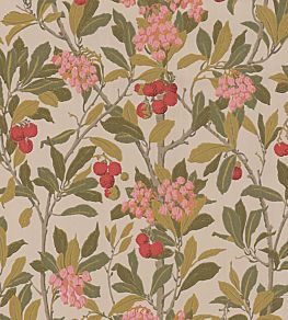 Strawberry Tree Wallpaper by Cole & Son Pink & Linen