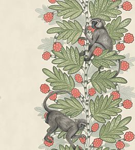 Acacia Wallpaper by Cole & Son 11051