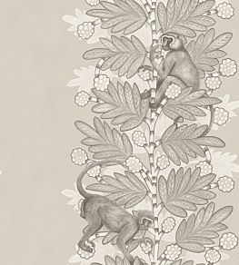 Acacia Wallpaper by Cole & Son 11054