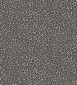Senzo Spot Wallpaper by Cole & Son 6031