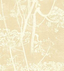 Cow Parsley Wallpaper by Cole & Son Warm Sand