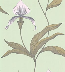 Orchid Wallpaper by Cole & Son 28