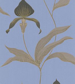 Orchid Wallpaper by Cole & Son 30
