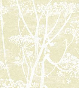Cow Parsley Wallpaper by Cole & Son Sand