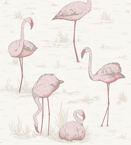 Flamingos Wallpaper by Cole & Son 45