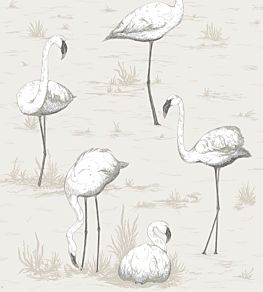 Flamingos Wallpaper by Cole & Son 46