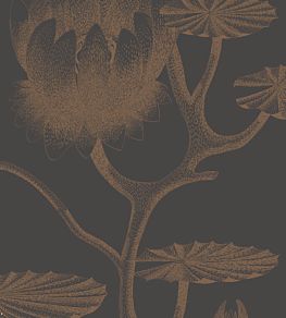 Lily Wallpaper by Cole & Son 21