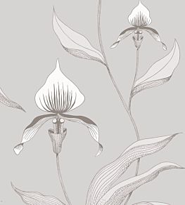 Orchid Wallpaper by Cole & Son 55