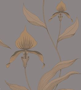 Orchid Wallpaper by Cole & Son 56