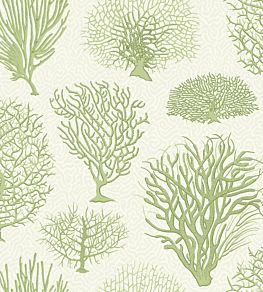 Seafern Wallpaper by Cole & Son 2008