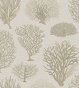 Seafern Wallpaper by Cole & Son 2010
