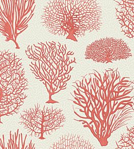 Seafern Wallpaper by Cole & Son 2011