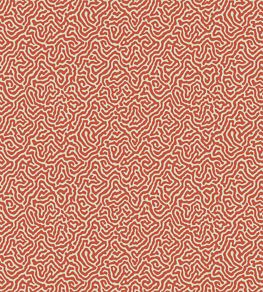 Vermicelli Wallpaper by Cole & Son 4018