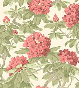 Bourlie Wallpaper by Cole & Son 4020