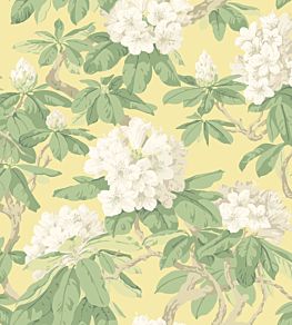 Bourlie Wallpaper by Cole & Son 4021