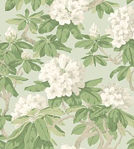 Bourlie Wallpaper by Cole & Son 4022