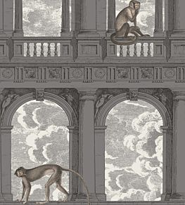 Procuratie Con Vista Wallpaper by Cole & Son Soot & Snow