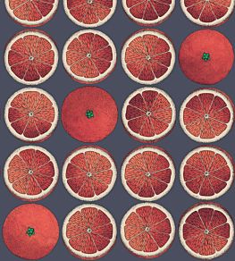 Arance Wallpaper by Cole & Son Blood Orange and Ink