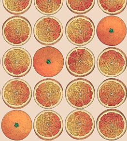 Arance Wallpaper by Cole & Son Orange and Stone