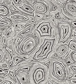 Malachite Wallpaper by Cole & Son White and Black