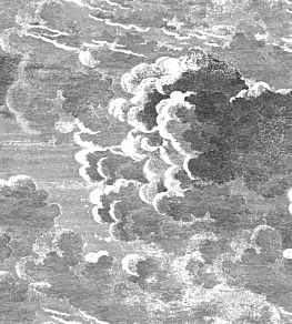 Nuvolette Mural by Cole & Son Black and White