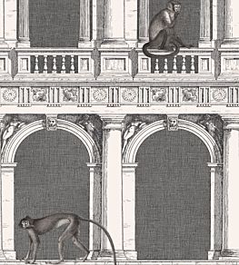 Procuratie E Scimmie Wallpaper by Cole & Son Black and White