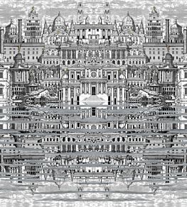 Riflesso Wallpaper by Cole & Son Black and White