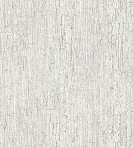Crackle Wallpaper by Cole & Son 1