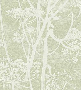 Cow Parsley Wallpaper by Cole & Son Green