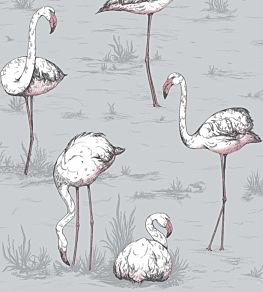 Flamingos Wallpaper by Cole & Son 11040