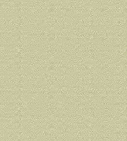 Coral Wallpaper by Cole & Son 5067