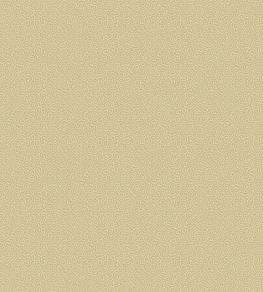 Coral Wallpaper by Cole & Son 5069