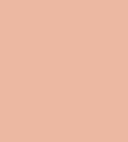 Coral Wallpaper by Cole & Son 5075