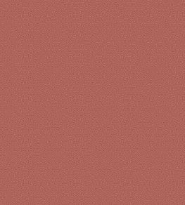Coral Wallpaper by Cole & Son 5076