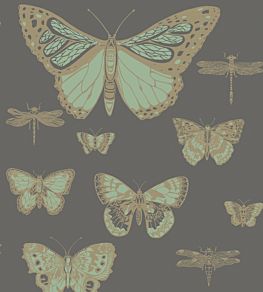 Butterflies & Dragonflies Wallpaper by Cole & Son Green & Charcoal