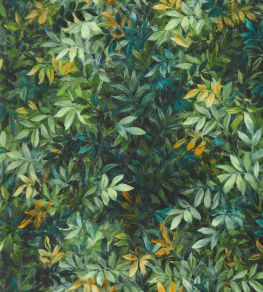 Congo Wallpaper by Clarke & Clarke Forest