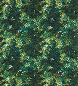 Congo Outdoor Fabric by Clarke & Clarke Forest