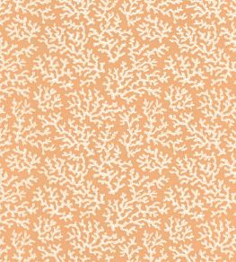 Coral Wallpaper by Langelid Von Bromssen Peach