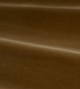 Cotton Velvet Performance Fabric by Zoffany Camel