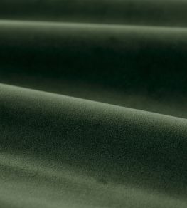 Cotton Velvet Performance Fabric by Zoffany Deep Moss